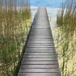 Activités vacances toussaint 2020