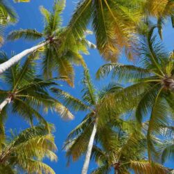 Liste de vacances d'été