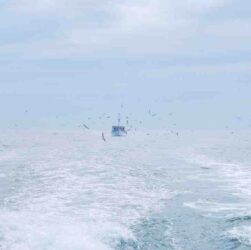 Vacances aux iles marquises
