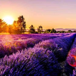 Vacances camping france pas cher