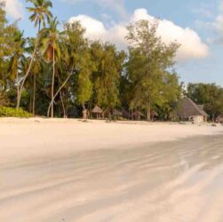 Voyage pas cher zanzibar