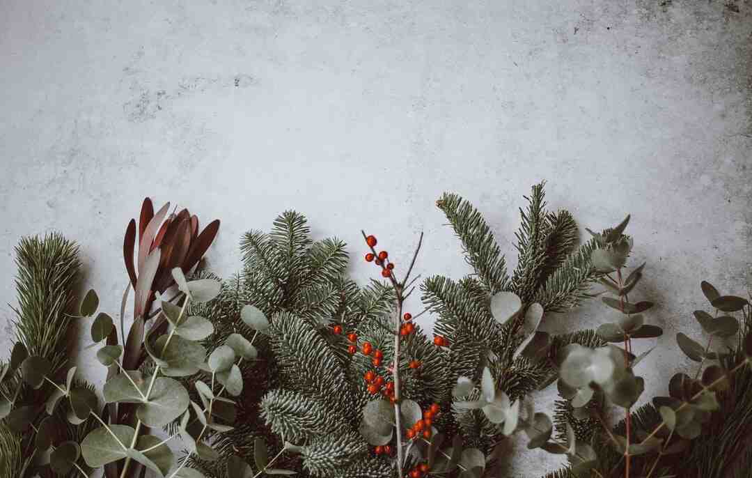 Comment revendre appartement Odalys ?