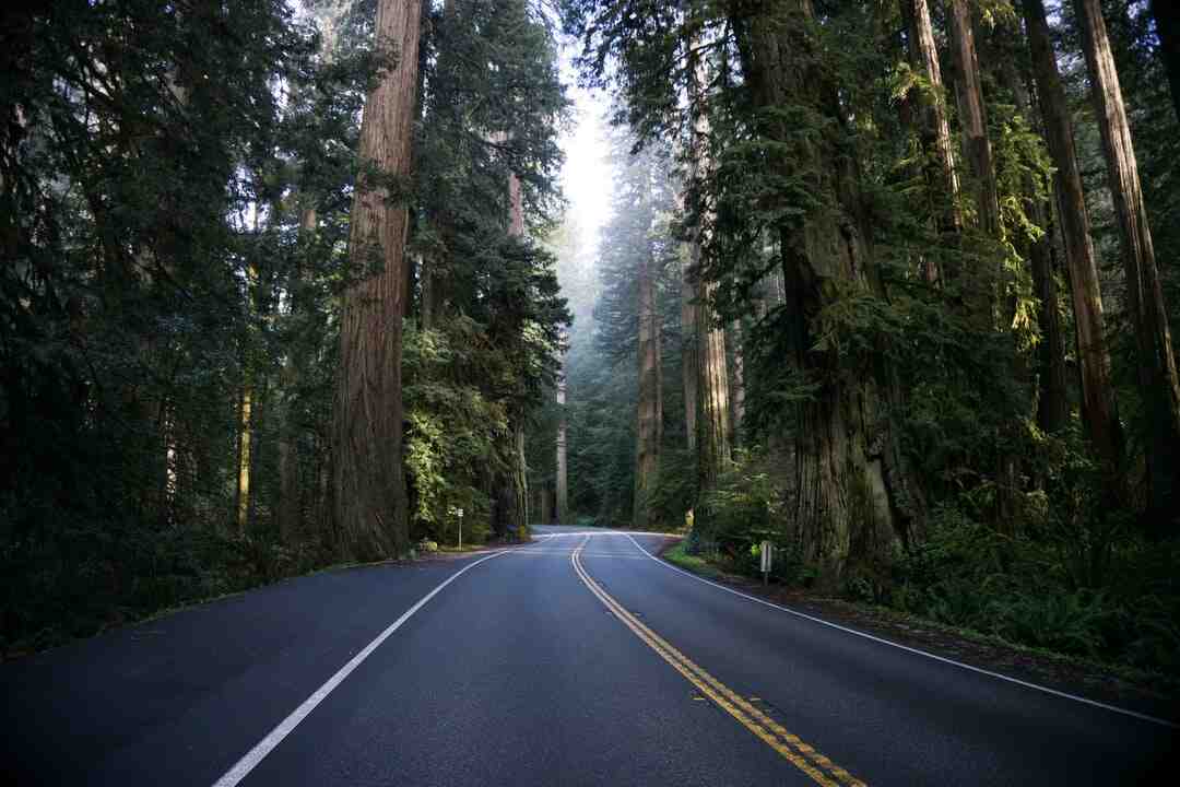 Quelle station de ski choisir en 2021 ?