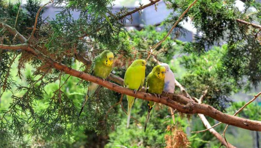 Est-ce que les croisières ont repris ?