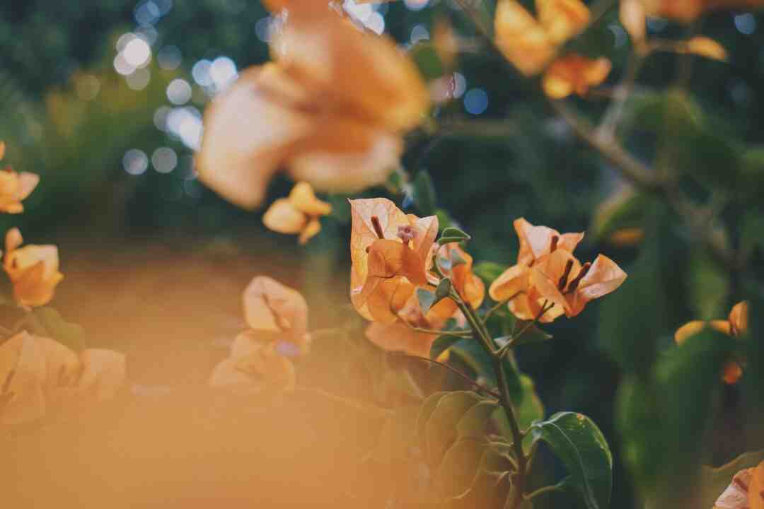 Où aller en Grèce pour la première fois ?