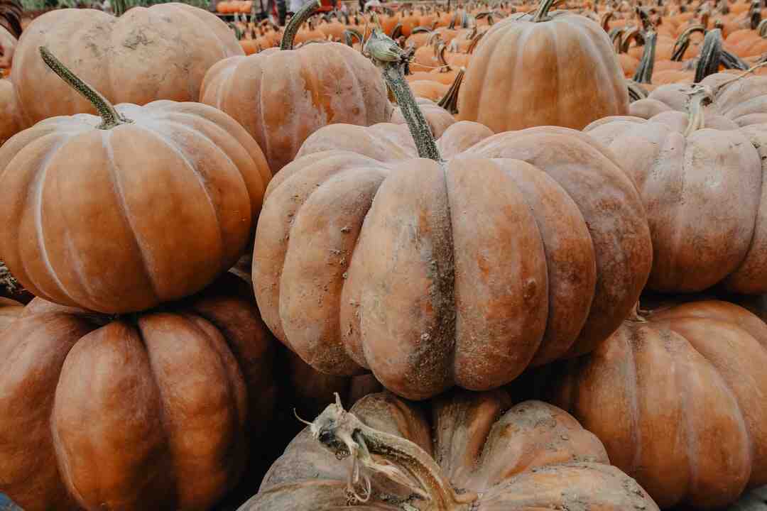 Où se baigner en Italie en octobre ?