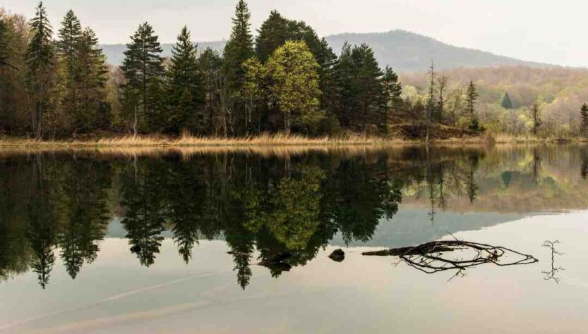 Quel circuit faire à Plitvice ?