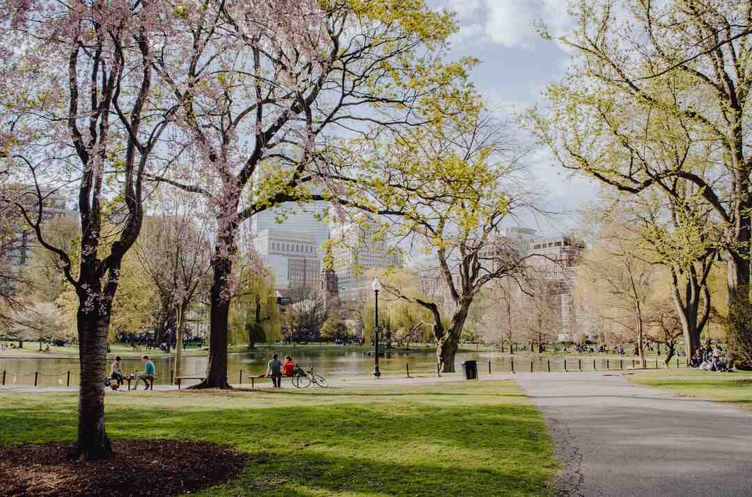 Quel est le Center Parc le plus grand ?