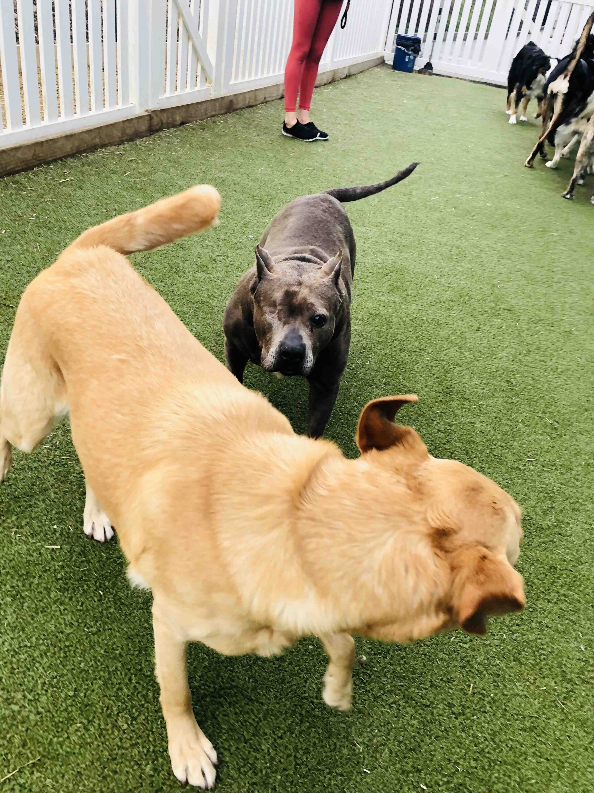 Quelle est la plus belle station de ski ?