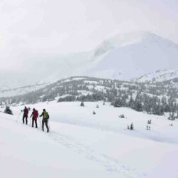 Comment joindre center parc gratuitement ?