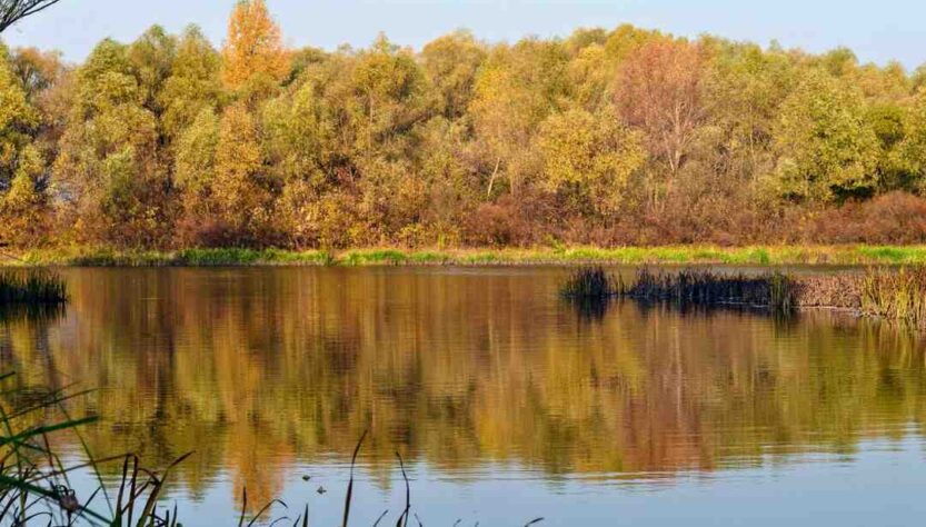 Où Fait-il beau en automne ?