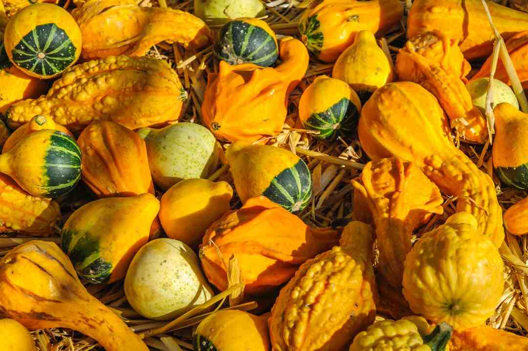 Où Fait-il beau en octobre en France ?