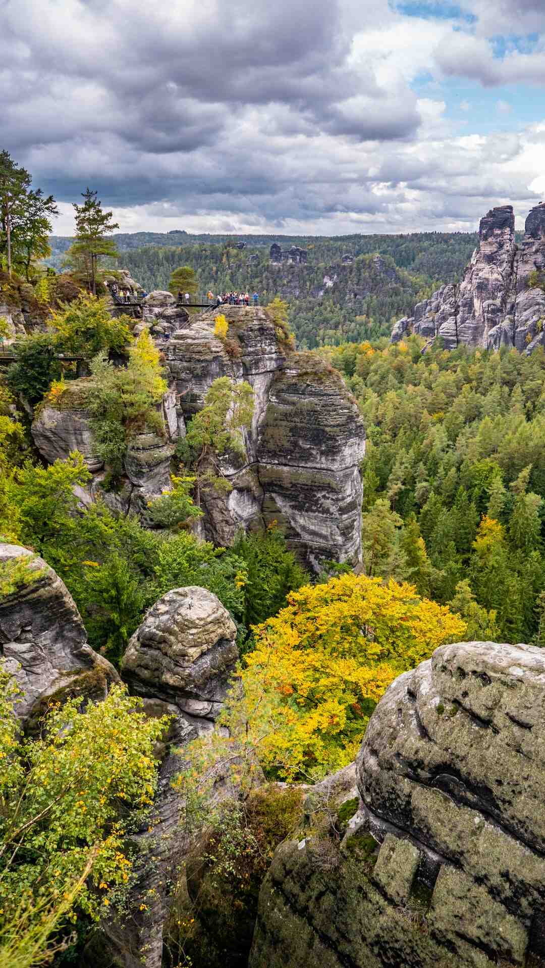 Quel âge pour faire de la luge ?