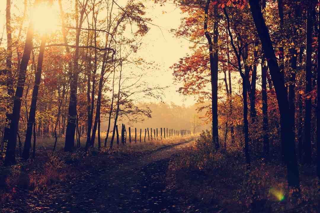 Quel est le pays le plus chaud en hiver ?