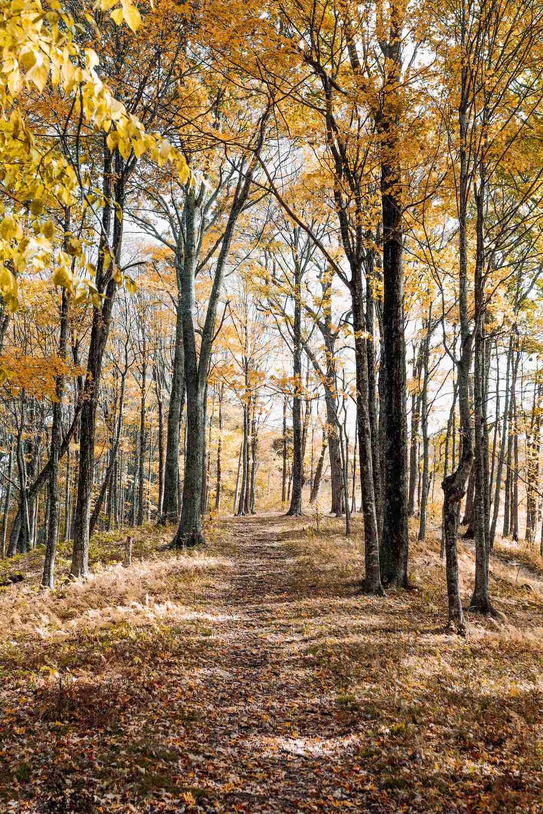 Quel pays le plus chaud en octobre ?