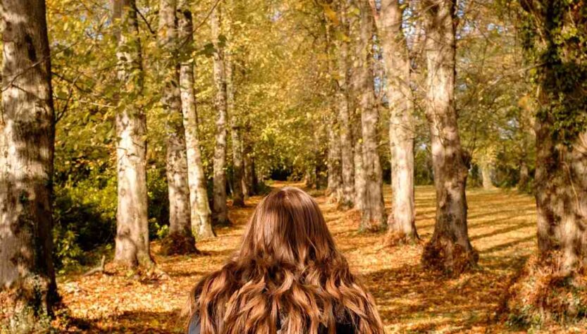 Quel pays visiter en automne ?