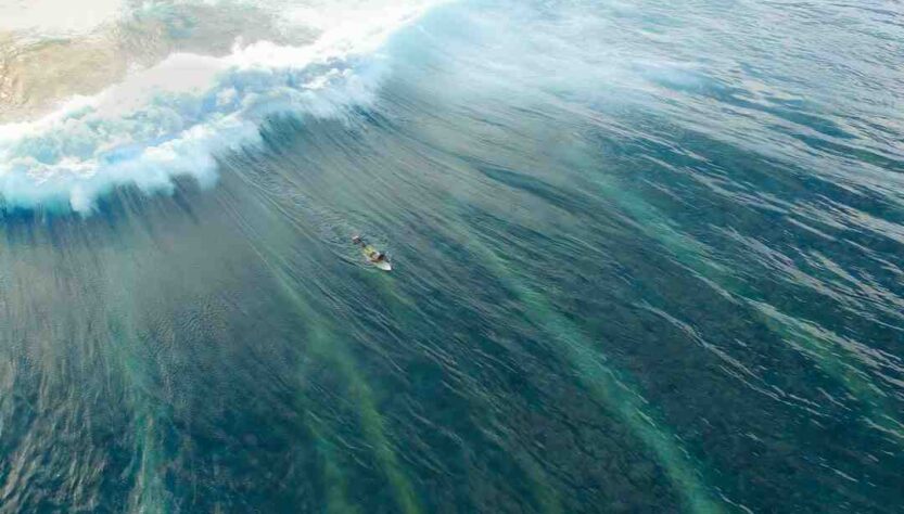 Quel sport est issu du surf ?