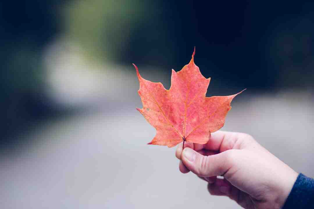 Quel temps en Suède en décembre ?