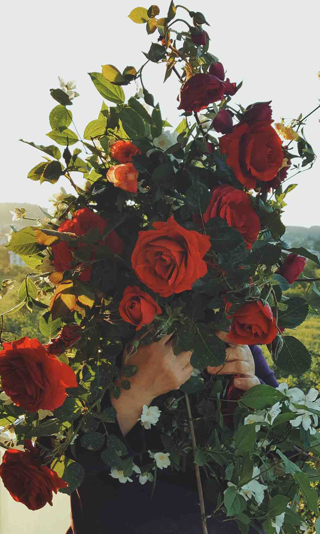 Comment avoir une vie sociale sans argent ?