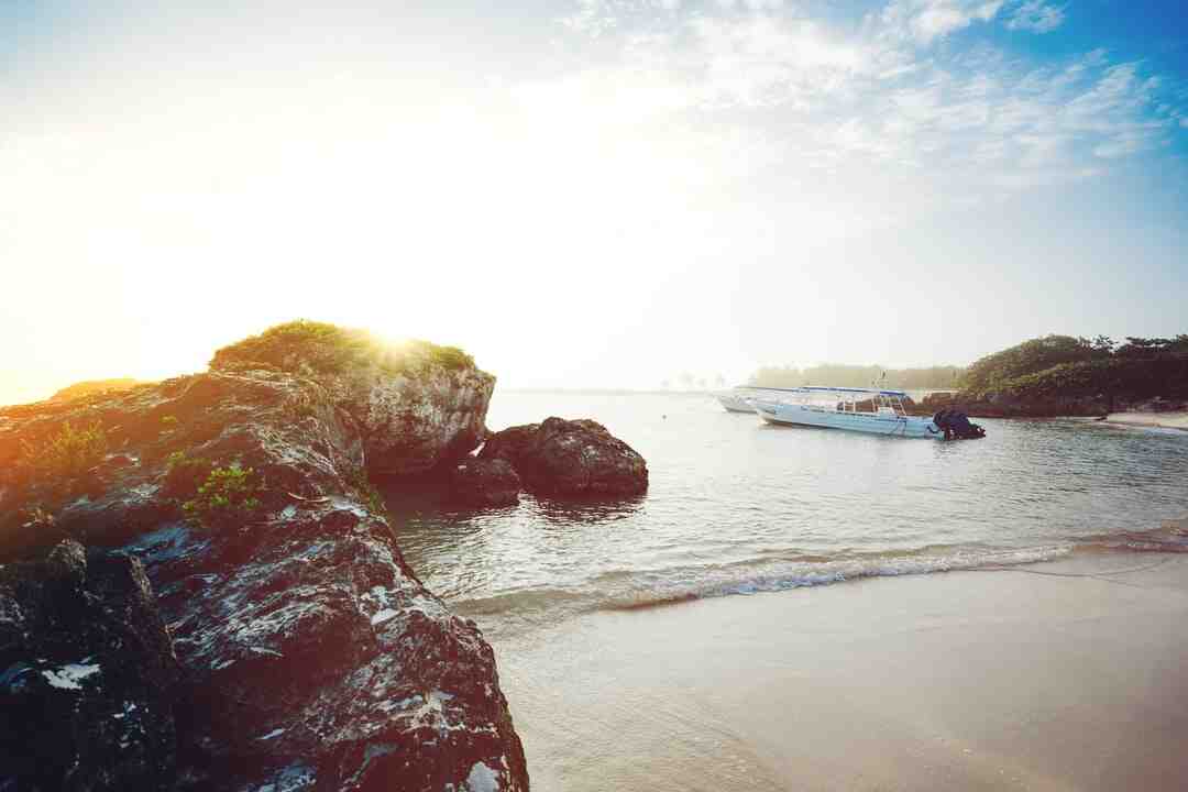 Comment joindre center parc gratuitement ?