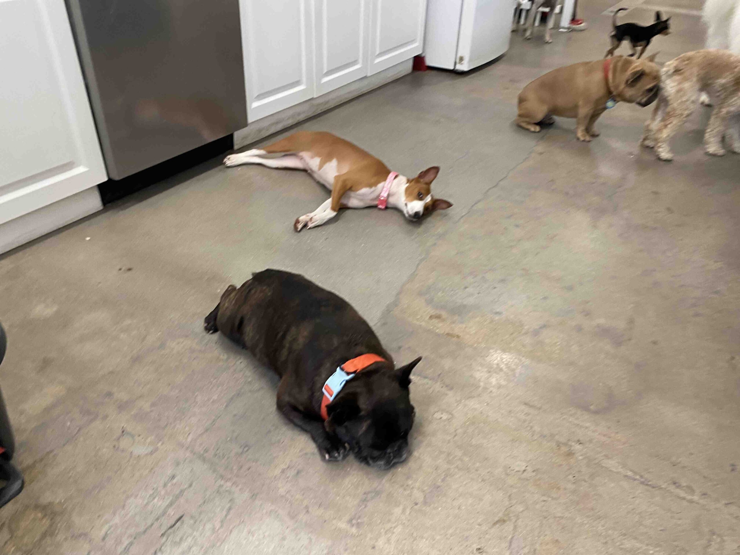 Comment toucher une aide financière ?