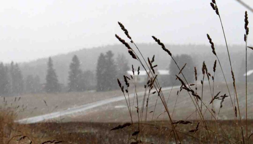 Où Fait-il bon en novembre ?