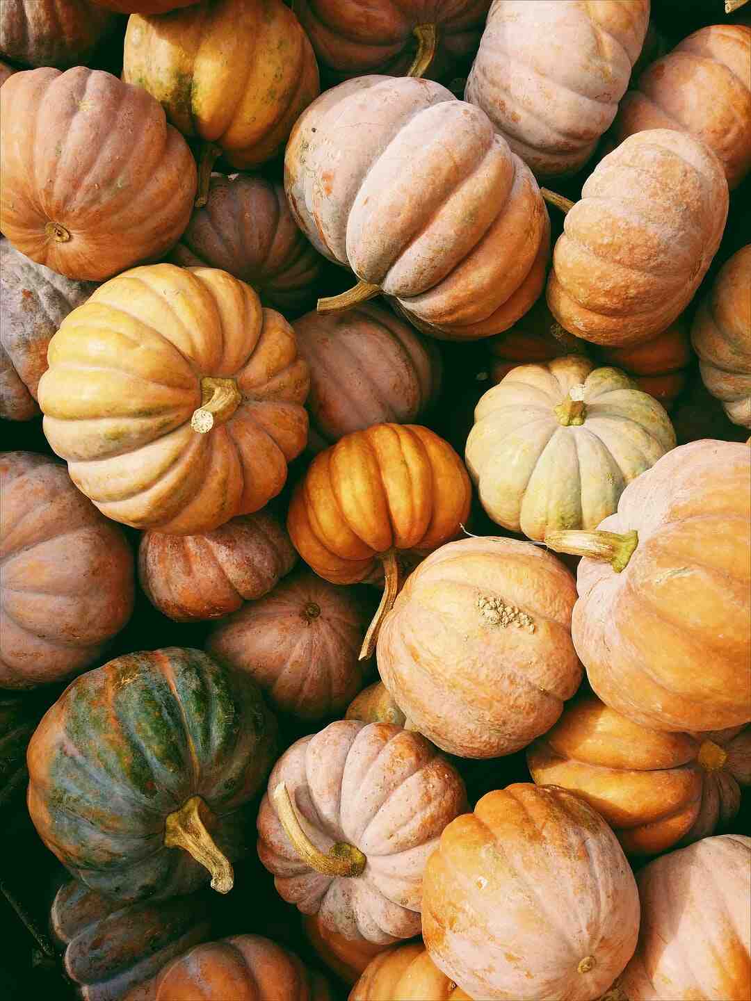 Où partir à Chypre en octobre ?