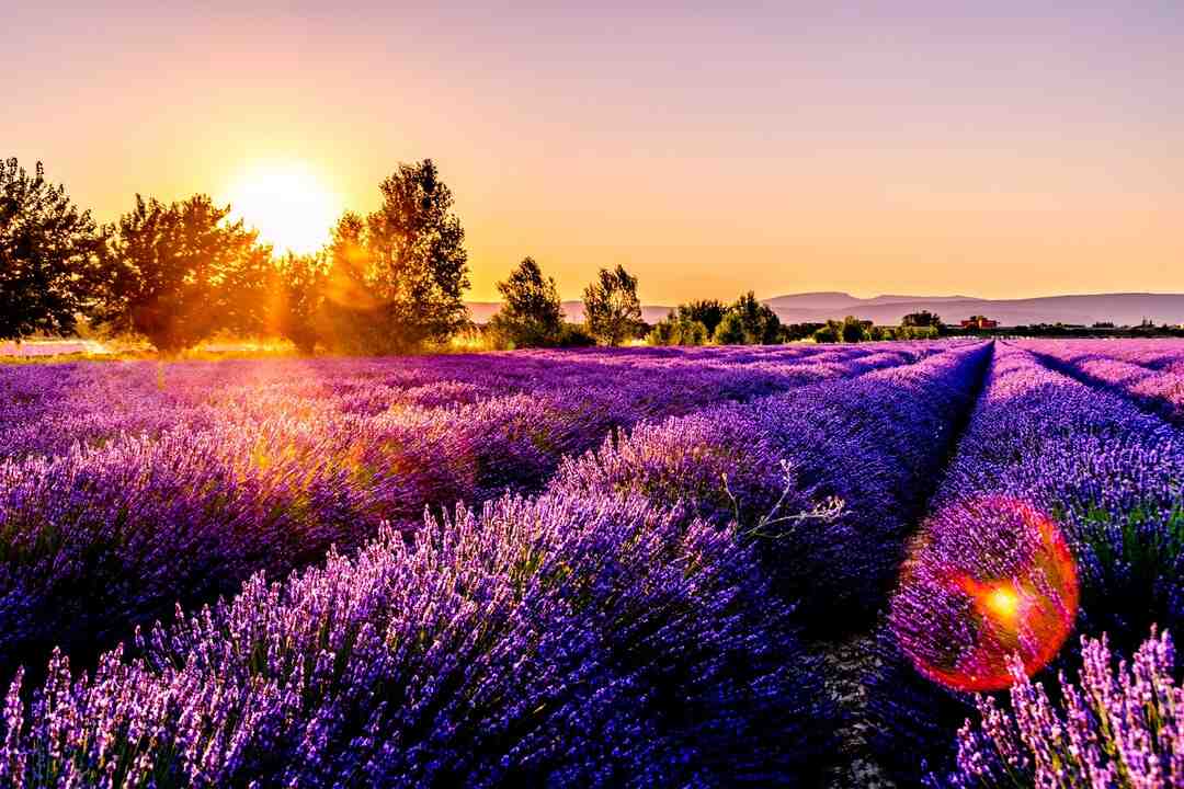 Quel est le plus grand Center Parcs en France ?