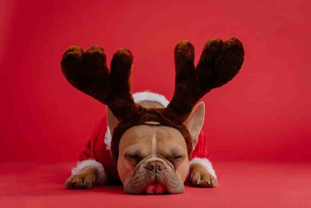 Quelle capitale en 3 jours ?