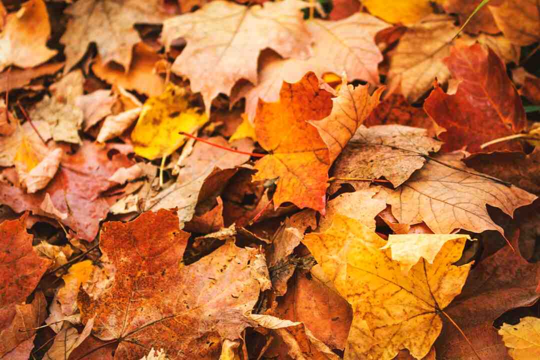 Quelle est l'île grecque la plus chaude en hiver ?