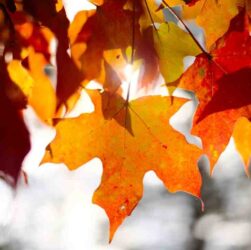 Où aller aux USA en septembre ?