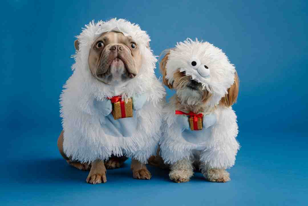 Où aller quand on a pas d'argent ?