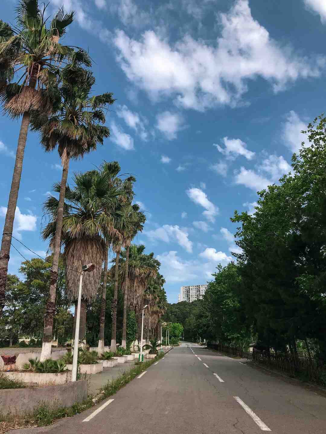 Où partir au soleil cet été ?