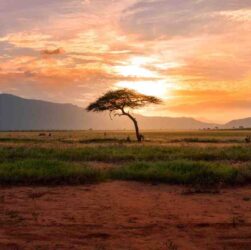 Pourquoi aller vivre en Afrique ?