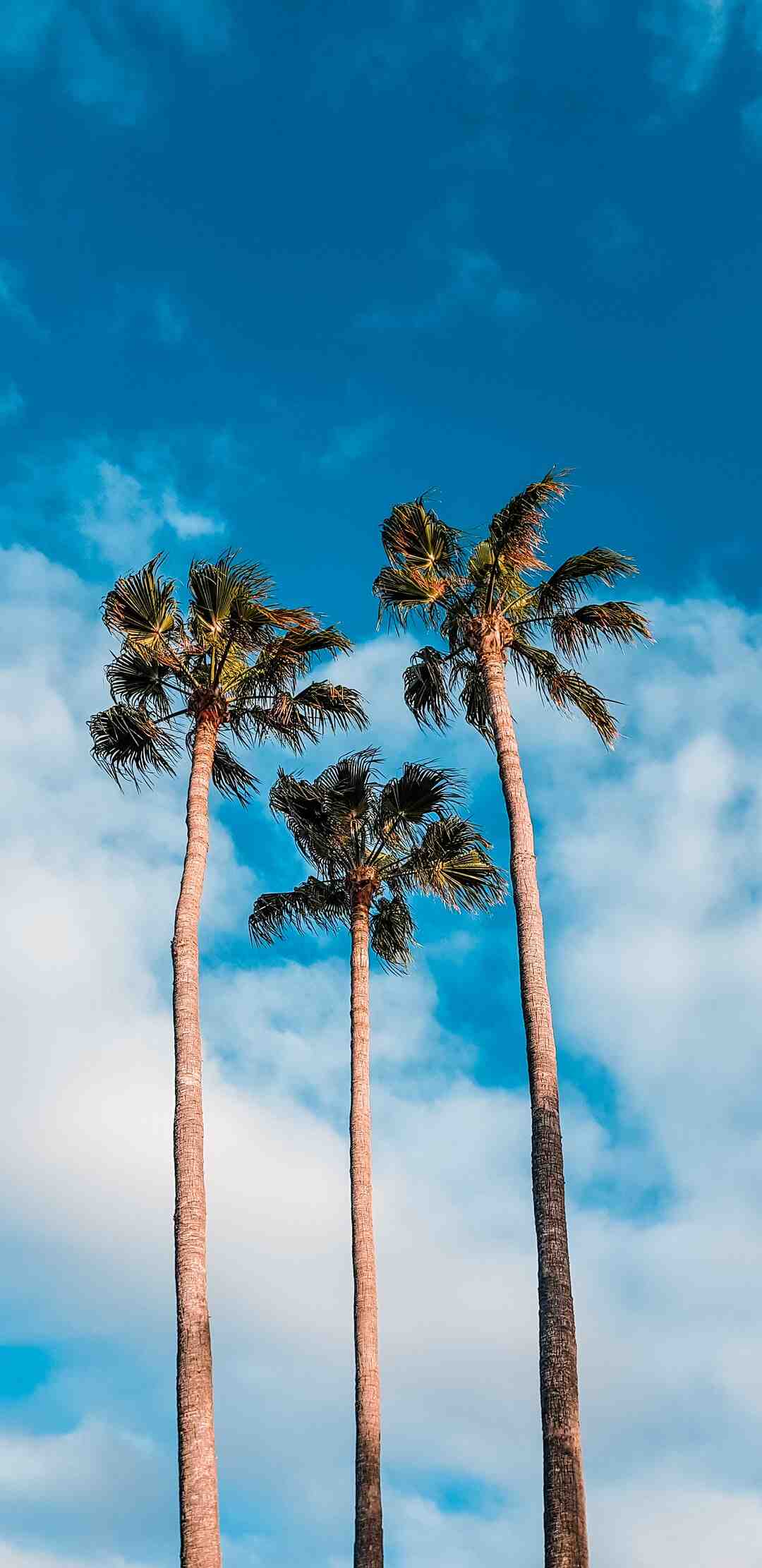 Quel pays avec des ados ?