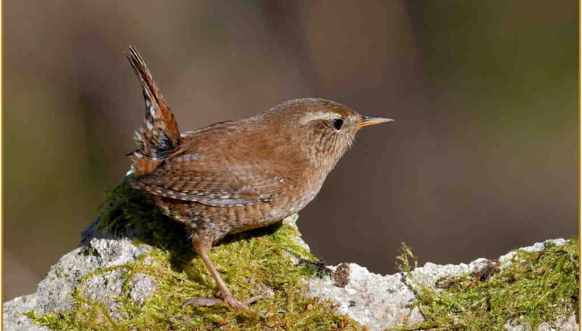 Quelle ville visiter en Europe pour un week-end ?