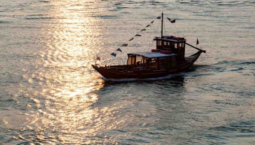 Comment visiter la vallée du Douro depuis Porto ?