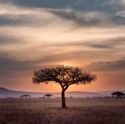 Pourquoi aller vivre en Afrique du Sud ?
