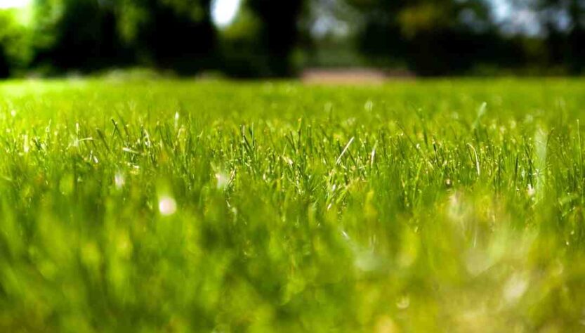 Où partir en juillet pour ne pas avoir trop chaud ?