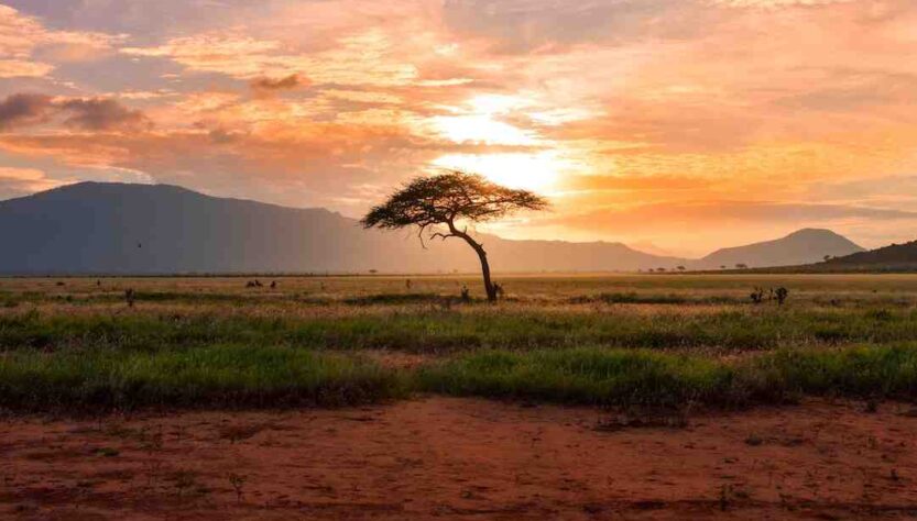 Comment obtenir un visa pour l'Afrique ?