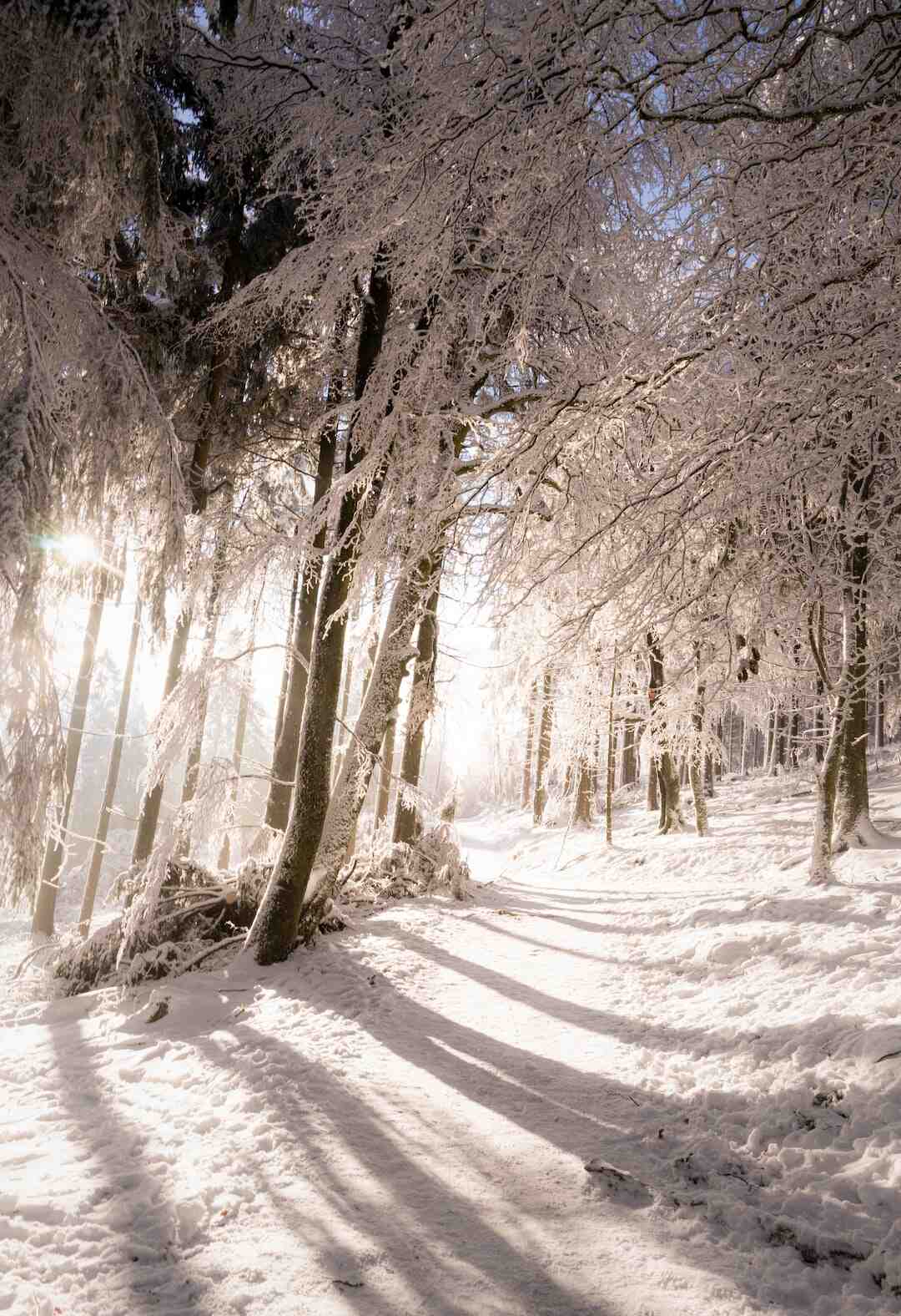 Où aller en hiver pour avoir chaud ?