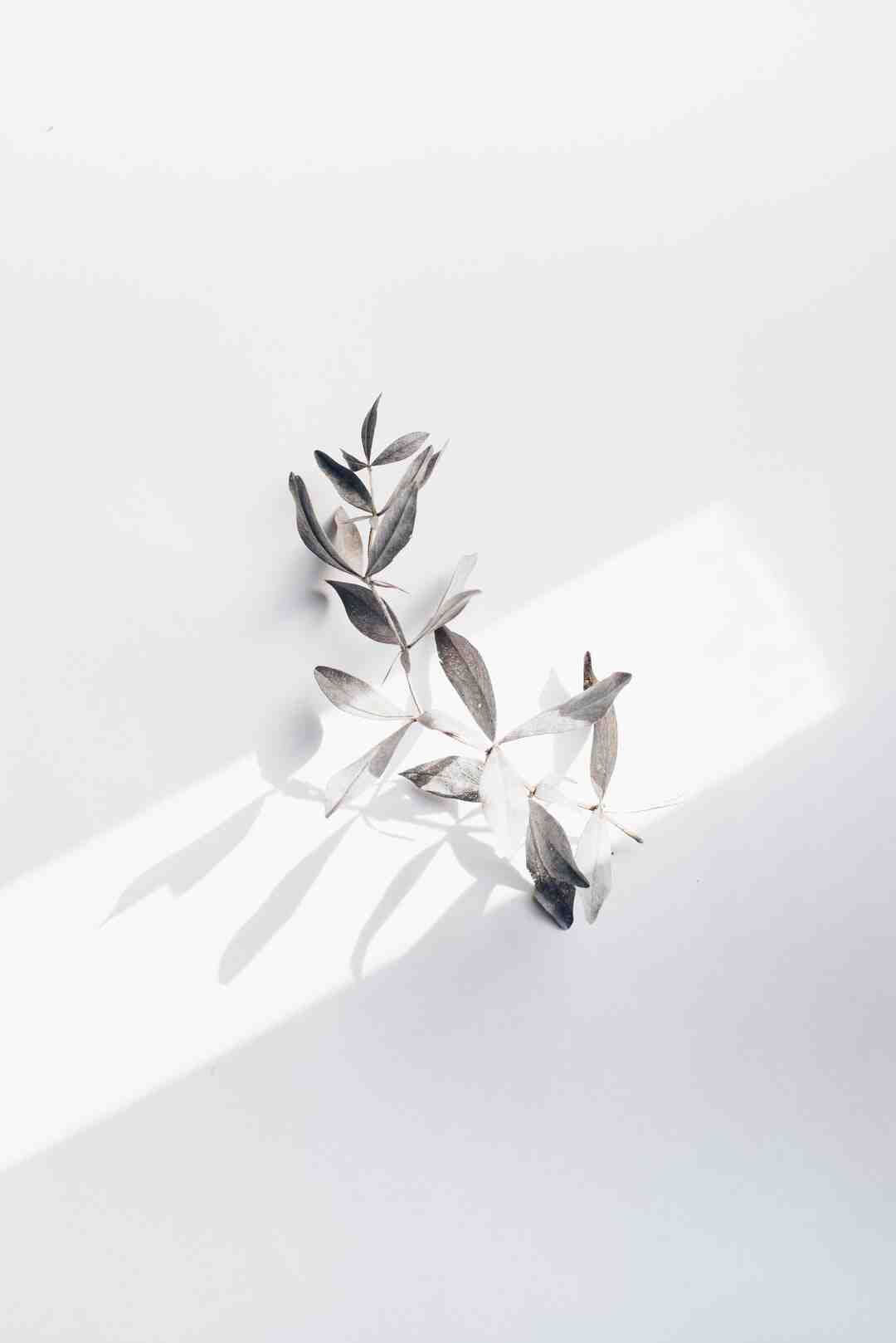 Où partir en juillet pour eviter la foule ?