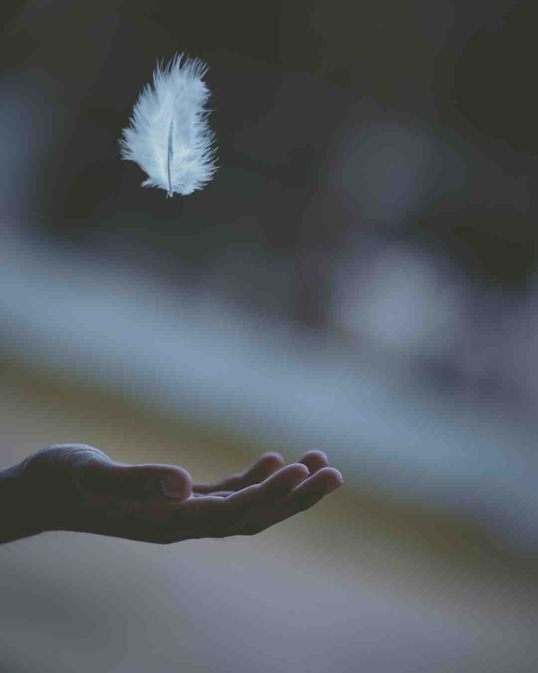 Quel est le peuple qui voyage le plus ?