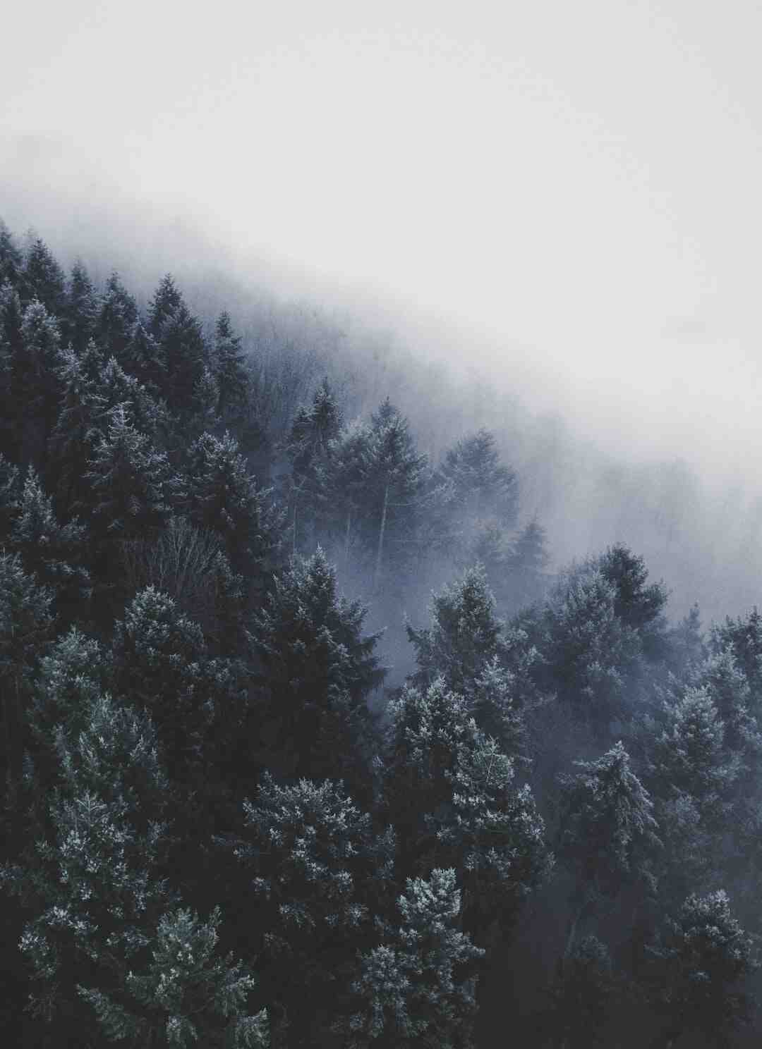 Quel temps en Andalousie en février ?