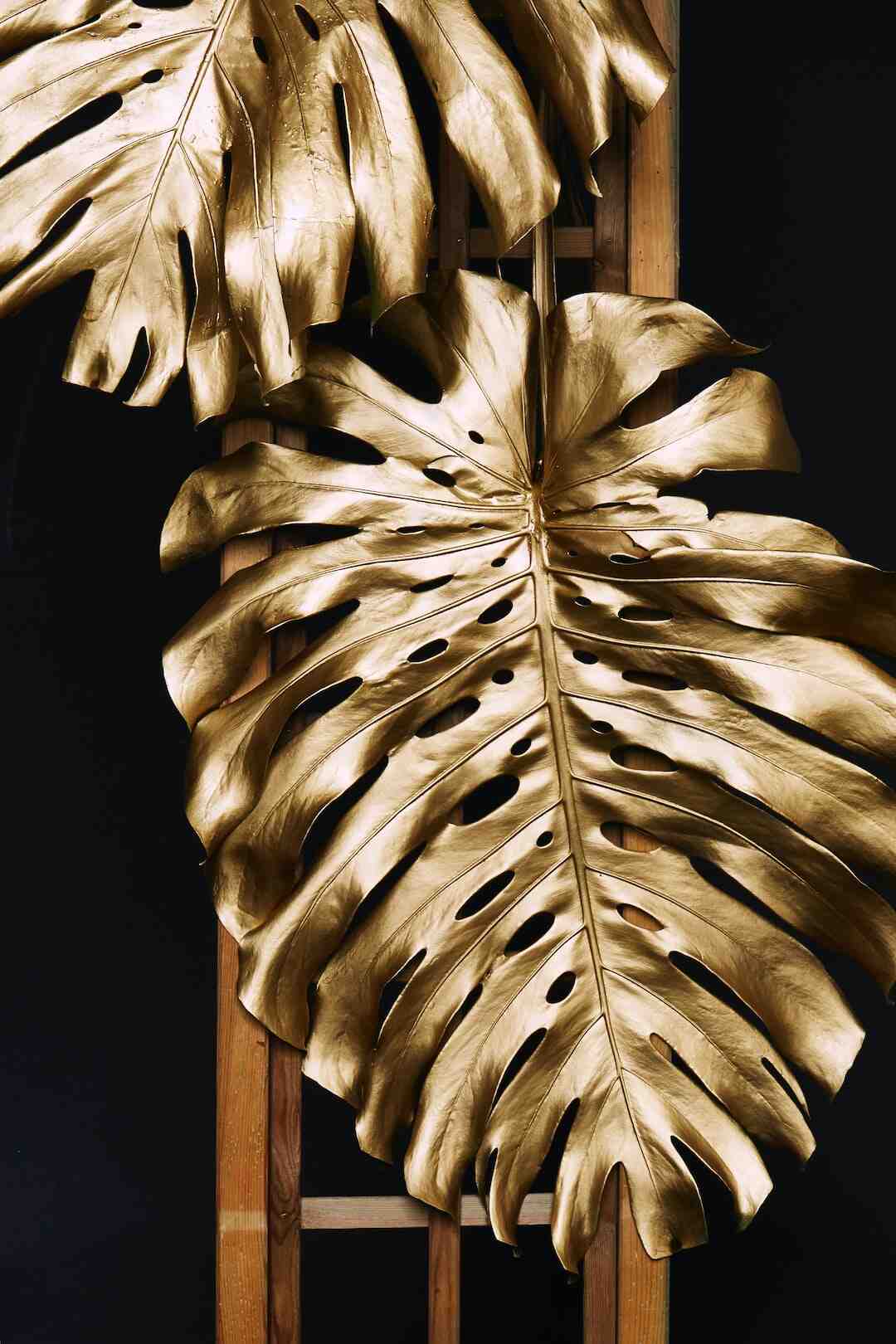 Quelle est la différence entre une carte Gold et une carte normal ?