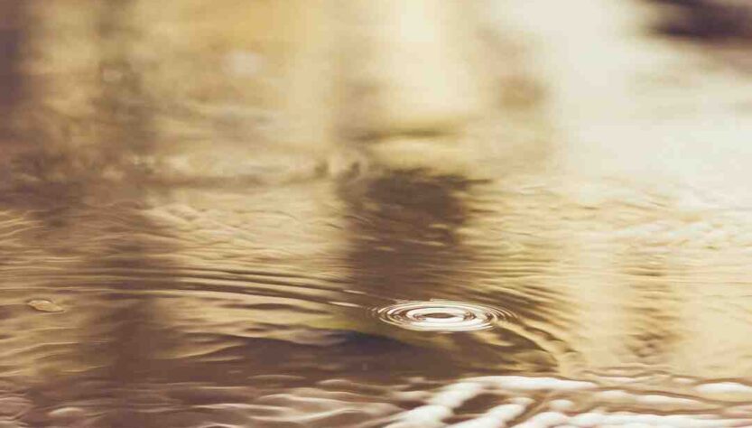 Quelles sont les assurances avec la carte Gold ?