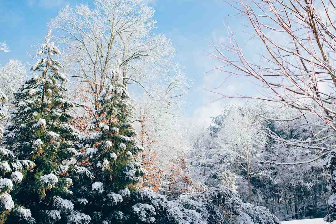 Où il neige en ce moment en Europe ?